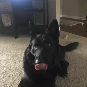 Meet your Posher, Tammy